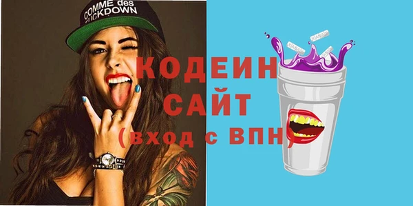 соль ск Гусев