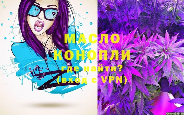 тгк Дмитров