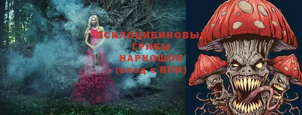 альфа пвп Дмитровск