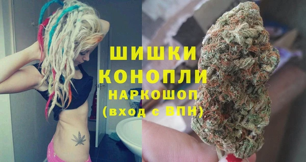 соль ск Гусев
